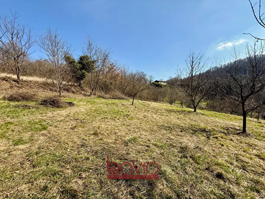 Immagine 47 di Terreno in vendita  in VIA RONCOLA a Rivalba