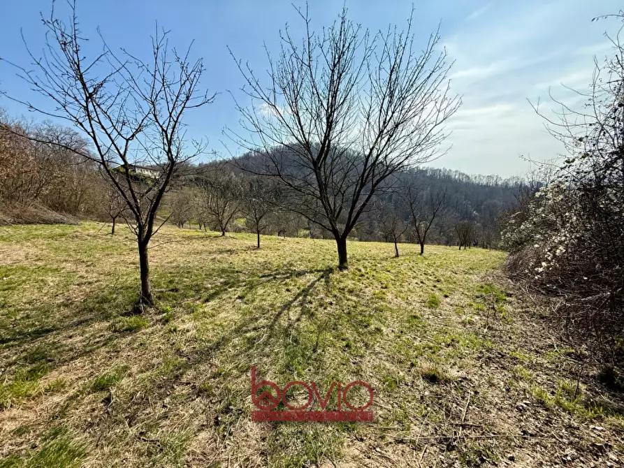 Immagine 49 di Terreno in vendita  in VIA RONCOLA a Rivalba