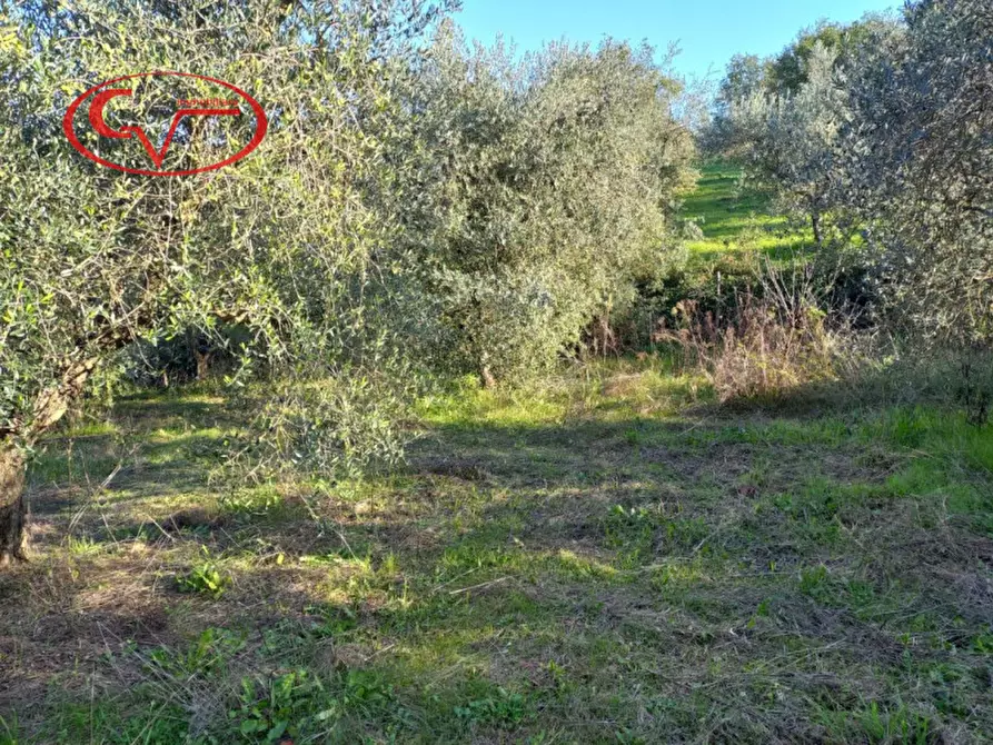 mansarda in vendita a Montevarchi in zona Ventena