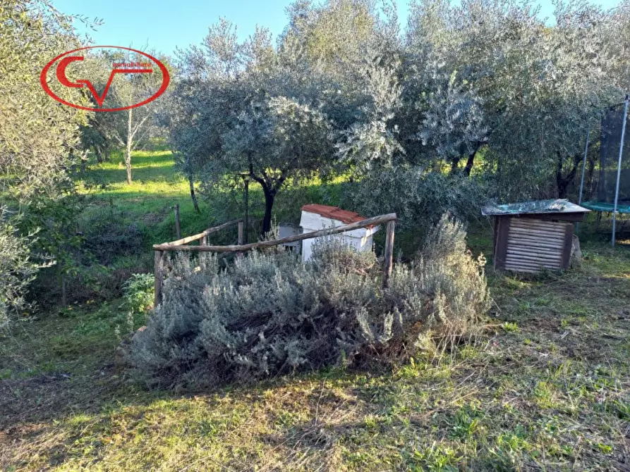Immagine 2 di Terreno in vendita  a Montevarchi