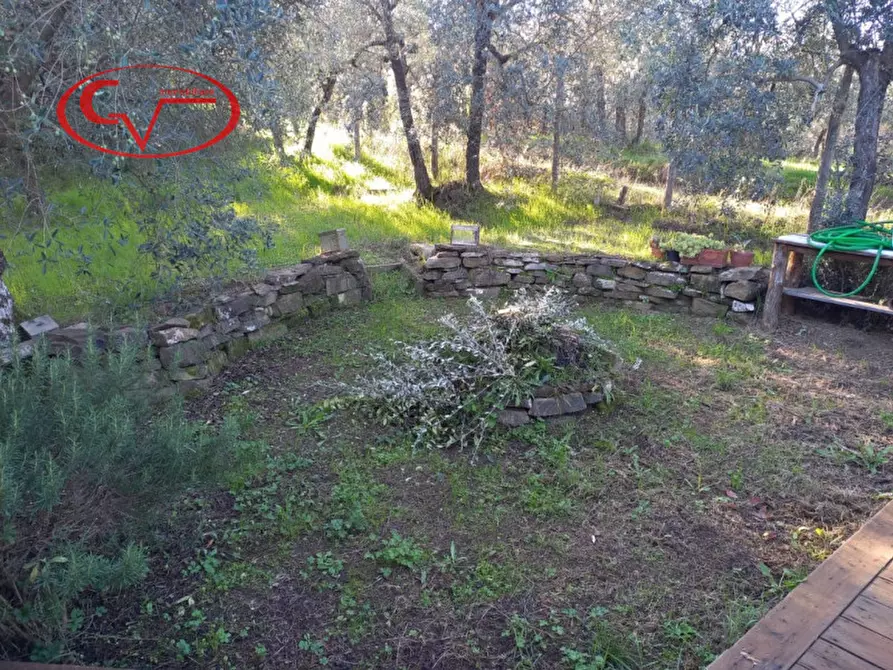 Immagine 5 di Terreno in vendita  a Montevarchi