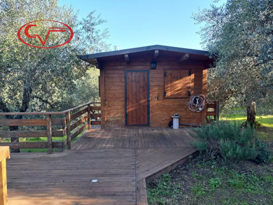 Immagine 6 di Terreno in vendita  a Montevarchi