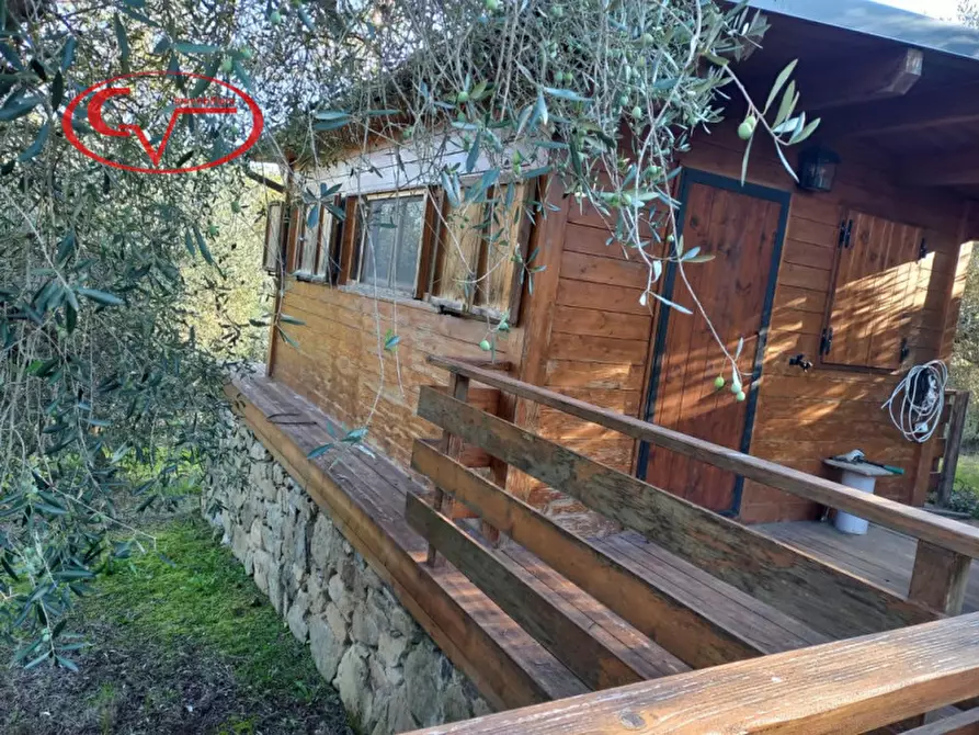 Immagine 7 di Terreno in vendita  a Montevarchi