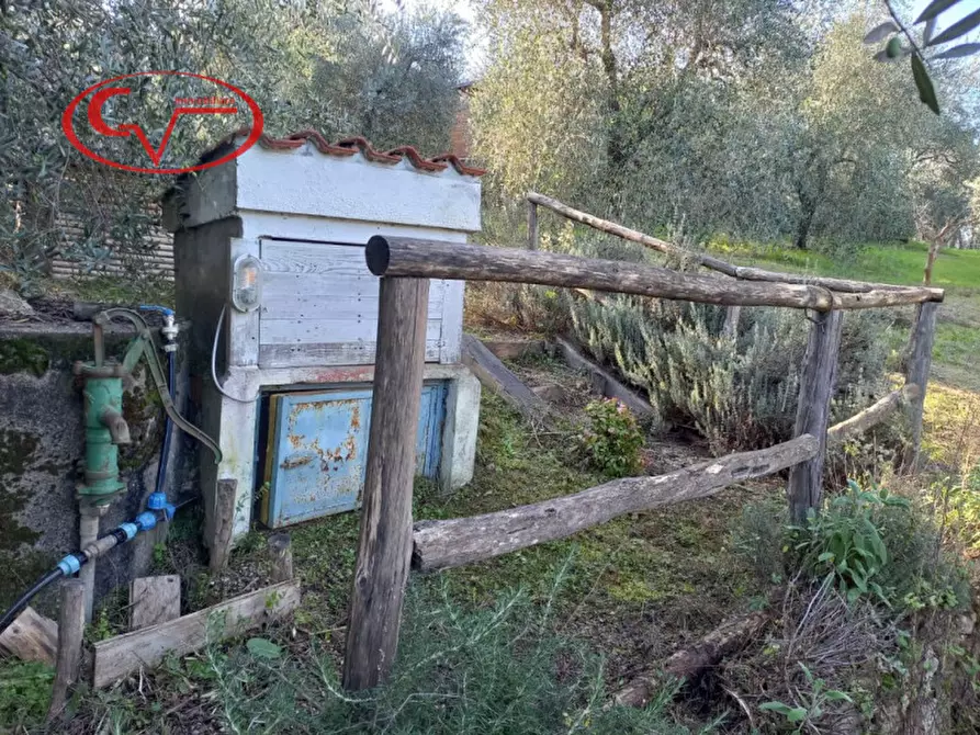Immagine 15 di Terreno in vendita  a Montevarchi