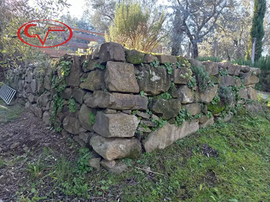 Immagine 17 di Terreno in vendita  a Montevarchi