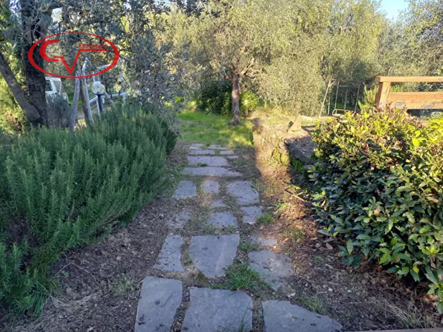 Immagine 18 di Terreno in vendita  a Montevarchi