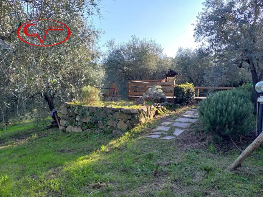 Immagine 19 di Terreno in vendita  a Montevarchi