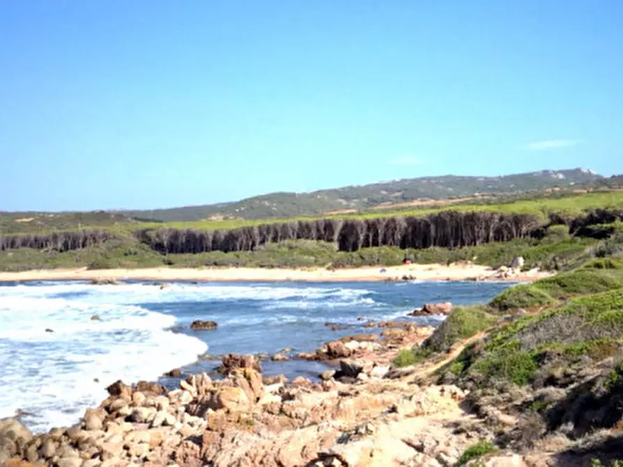Immagine 1 di Terreno in vendita  a Aglientu