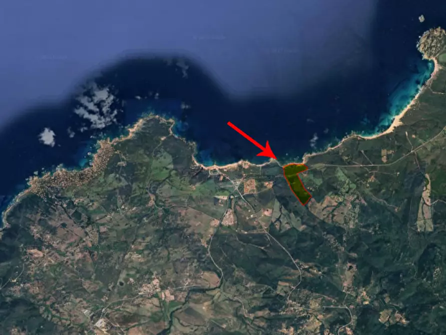 Immagine 2 di Terreno in vendita  a Aglientu