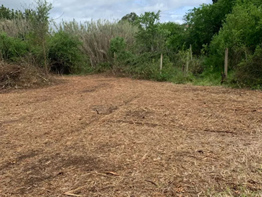 Immagine 16 di Casa indipendente in vendita  in Via degli Ardoni 9 a Palombara Sabina
