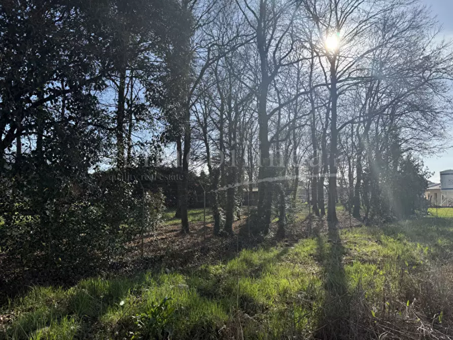 Immagine 2 di Terreno in vendita  in Località Gazzoli a Costermano sul Garda