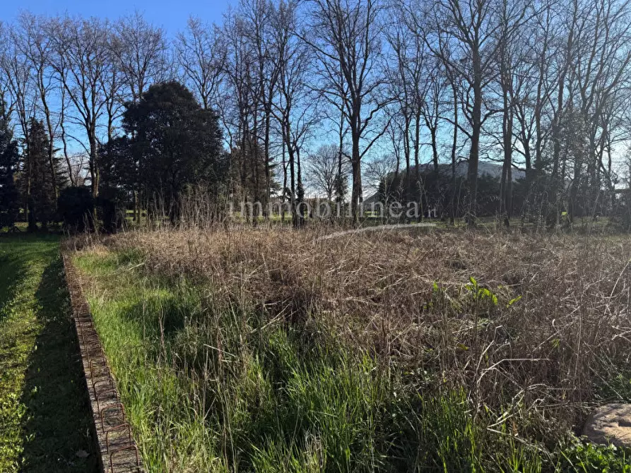 Immagine 5 di Terreno in vendita  in Località Gazzoli a Costermano sul Garda