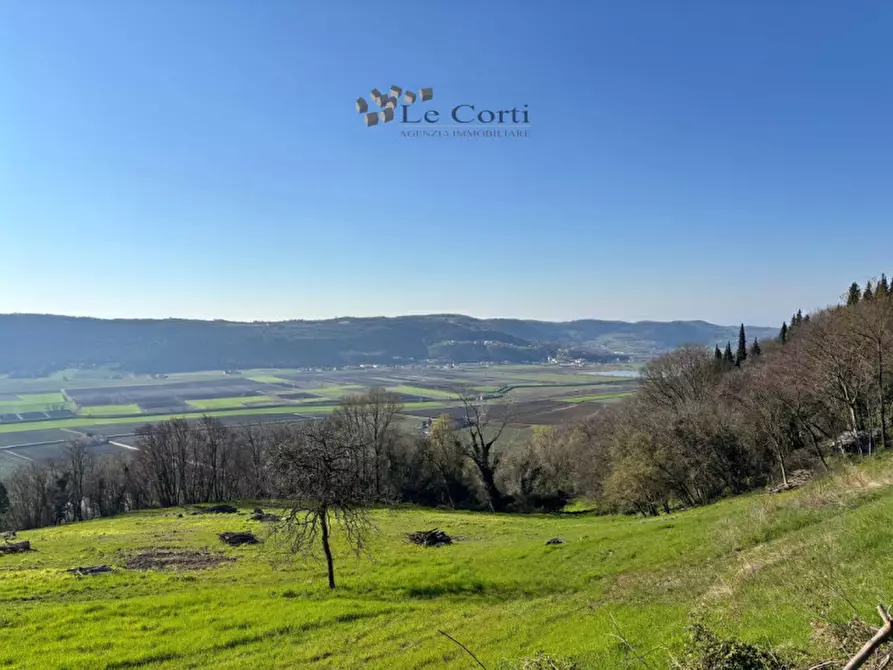 Immagine 3 di Casa indipendente in vendita  a Sossano