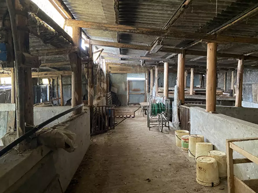 Immagine 5 di Casa indipendente in vendita  a Sossano