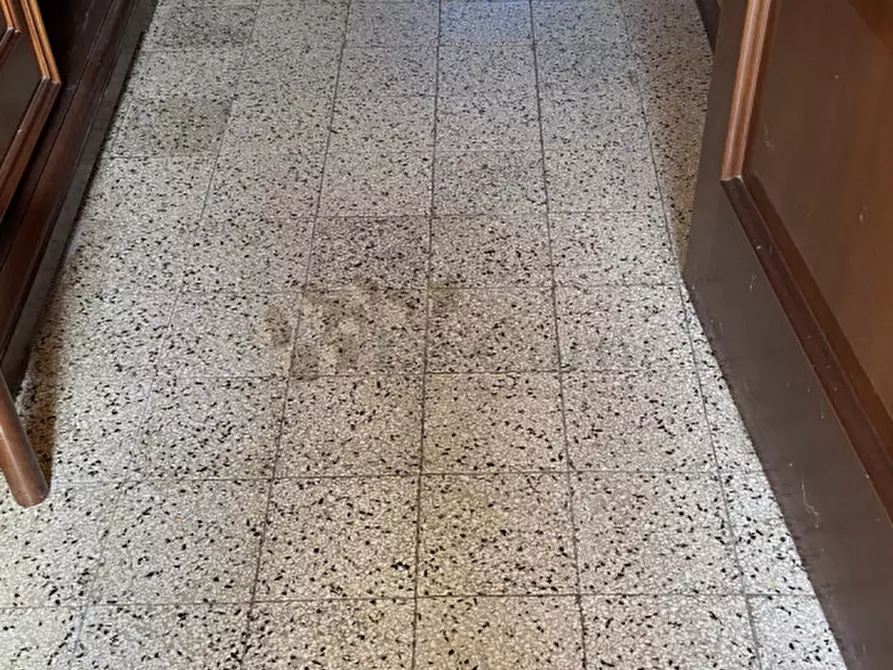 Immagine 8 di Casa indipendente in vendita  a Sossano