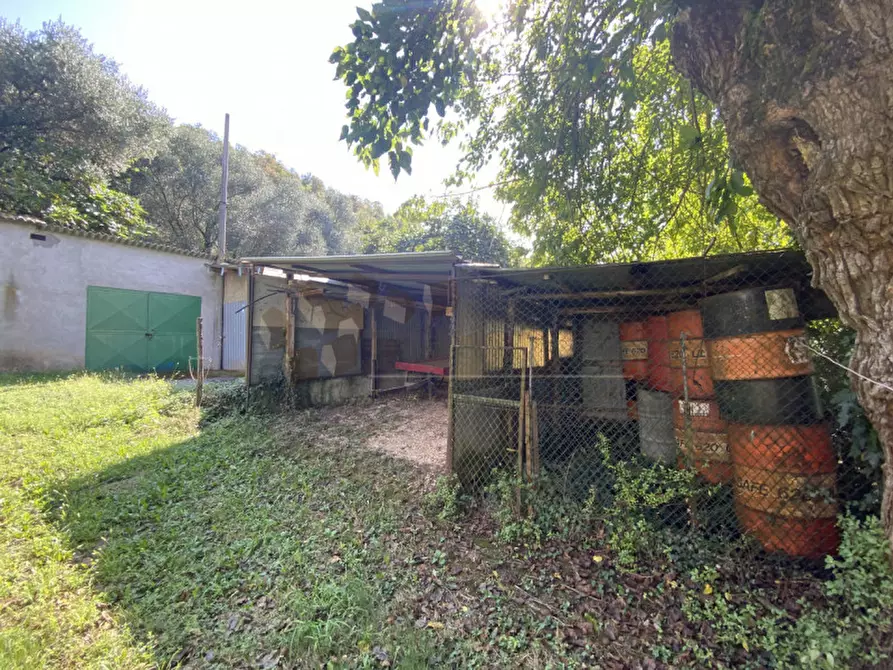 Immagine 9 di Casa indipendente in vendita  a Sossano