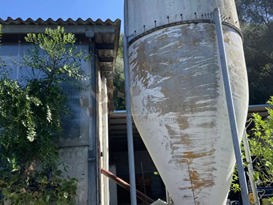 Immagine 10 di Casa indipendente in vendita  a Sossano