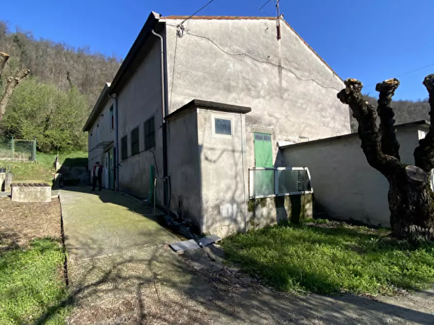 Immagine 12 di Casa indipendente in vendita  a Sossano