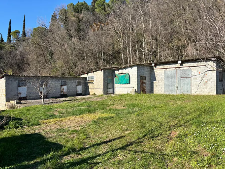 Immagine 13 di Casa indipendente in vendita  a Sossano