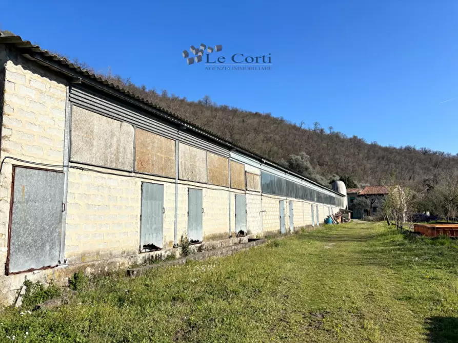 Immagine 15 di Casa indipendente in vendita  a Sossano