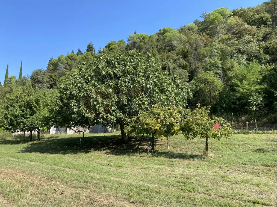 Immagine 12 di Casa indipendente in vendita  a Sossano