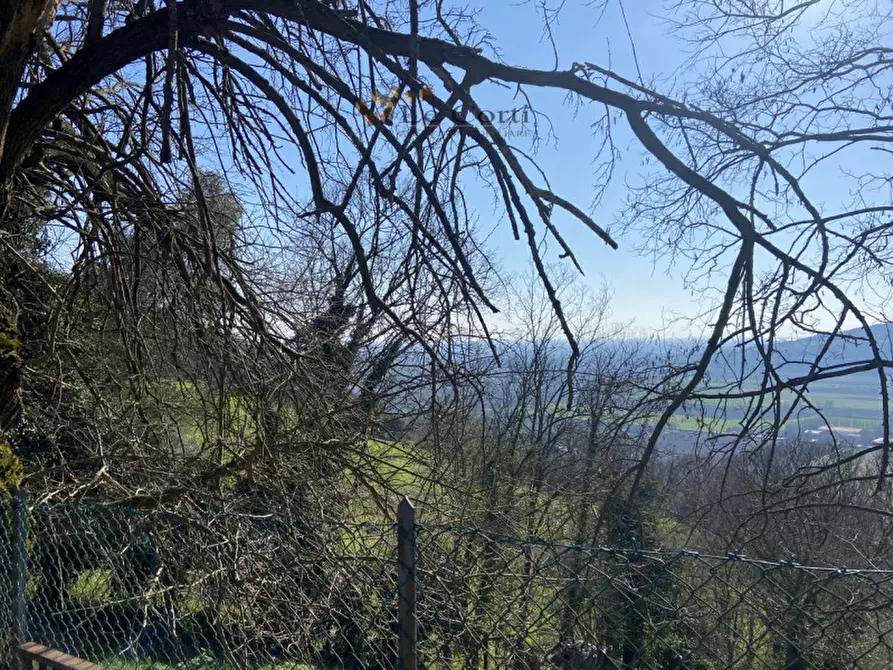 Immagine 26 di Casa indipendente in vendita  a Sossano