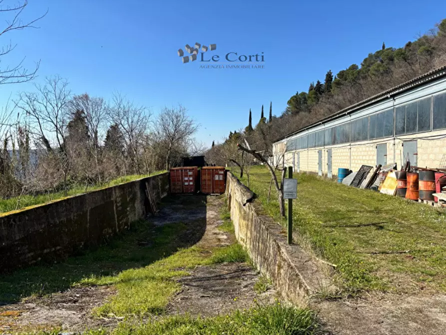 Immagine 27 di Casa indipendente in vendita  a Sossano