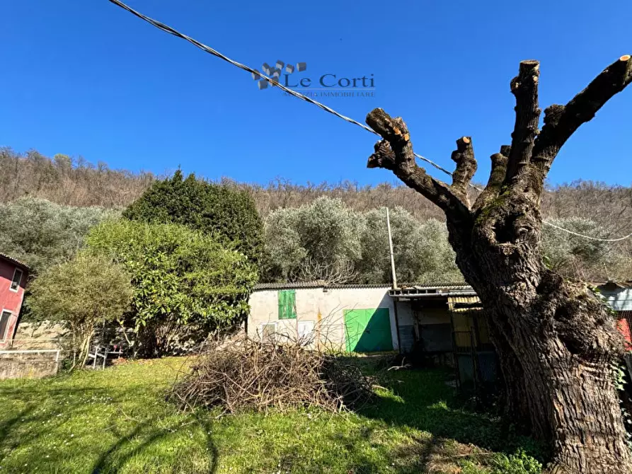 Immagine 16 di Casa indipendente in vendita  a Sossano