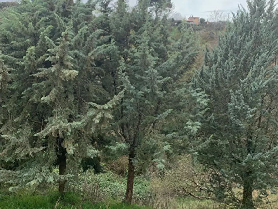 Immagine 22 di Villa in vendita  in Strada di Barbarossa a Palombara Sabina