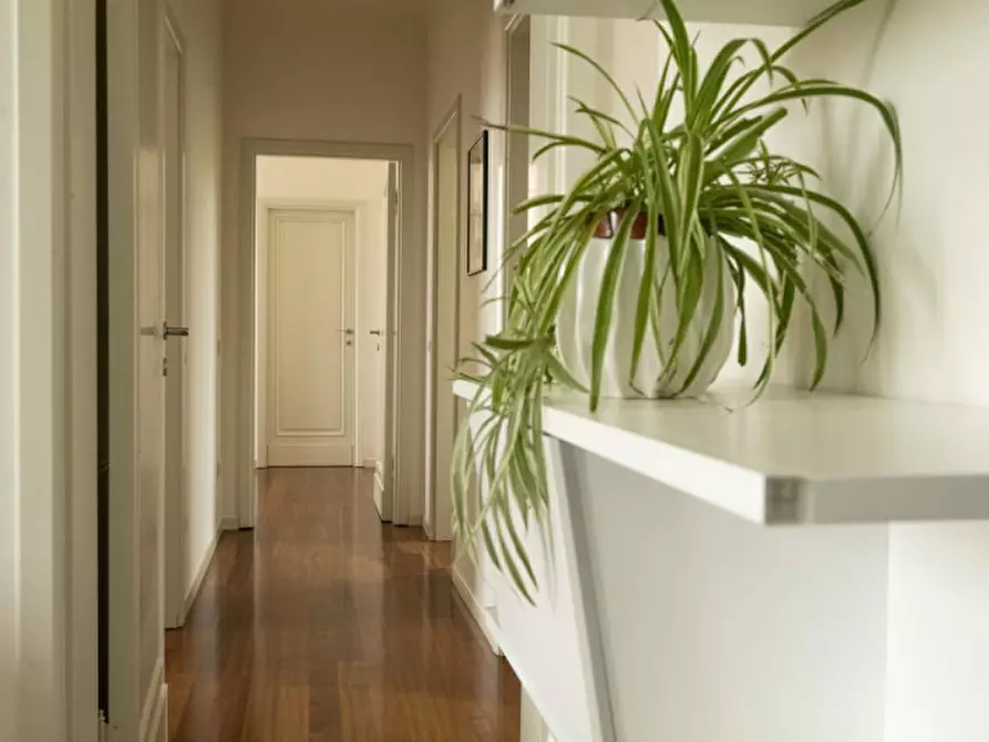 Immagine 25 di Attico in vendita  a Senigallia