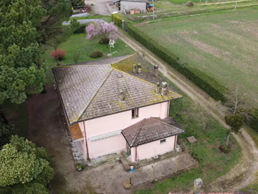 Immagine 5 di Casa indipendente in vendita  in via fontane 48 a Boara Pisani