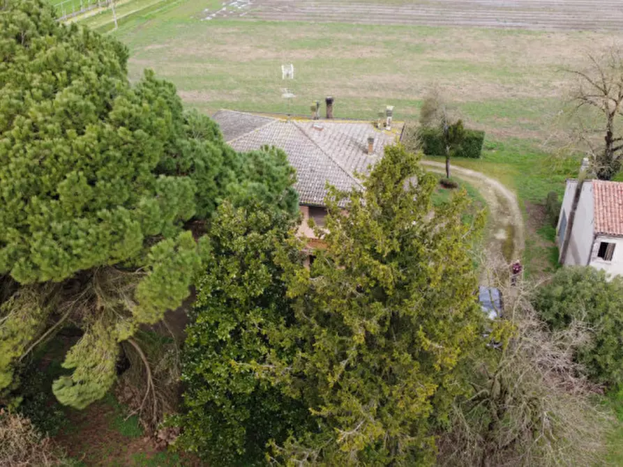 Immagine 7 di Casa indipendente in vendita  in via fontane 48 a Boara Pisani