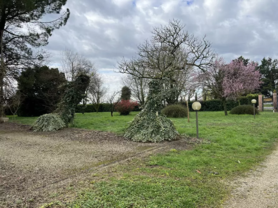 Immagine 8 di Casa indipendente in vendita  in via fontane 48 a Boara Pisani