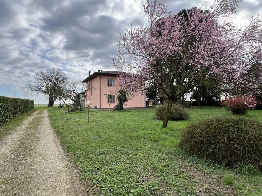 Immagine 9 di Casa indipendente in vendita  in via fontane 48 a Boara Pisani