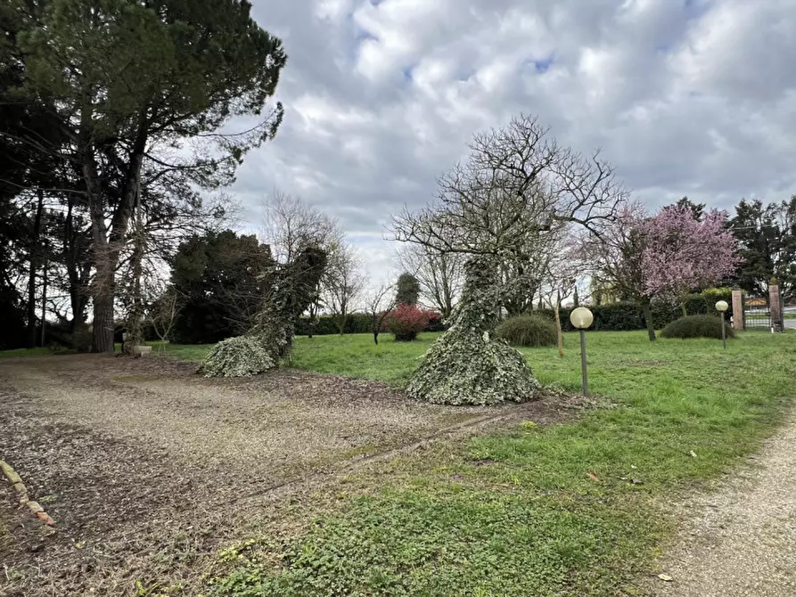 Immagine 34 di Casa indipendente in vendita  in via fontane 48 a Boara Pisani