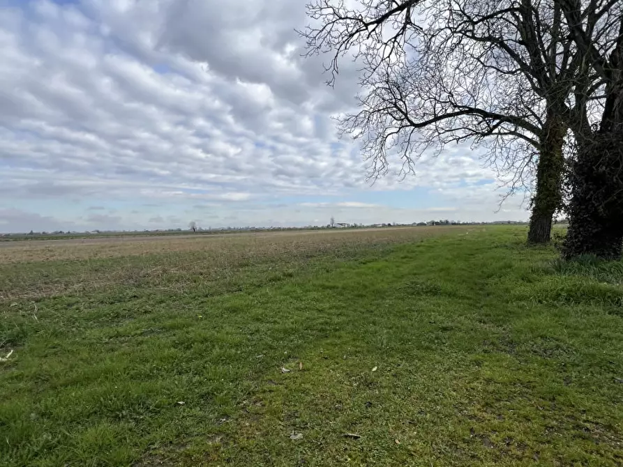 Immagine 36 di Casa indipendente in vendita  in via fontane 48 a Boara Pisani