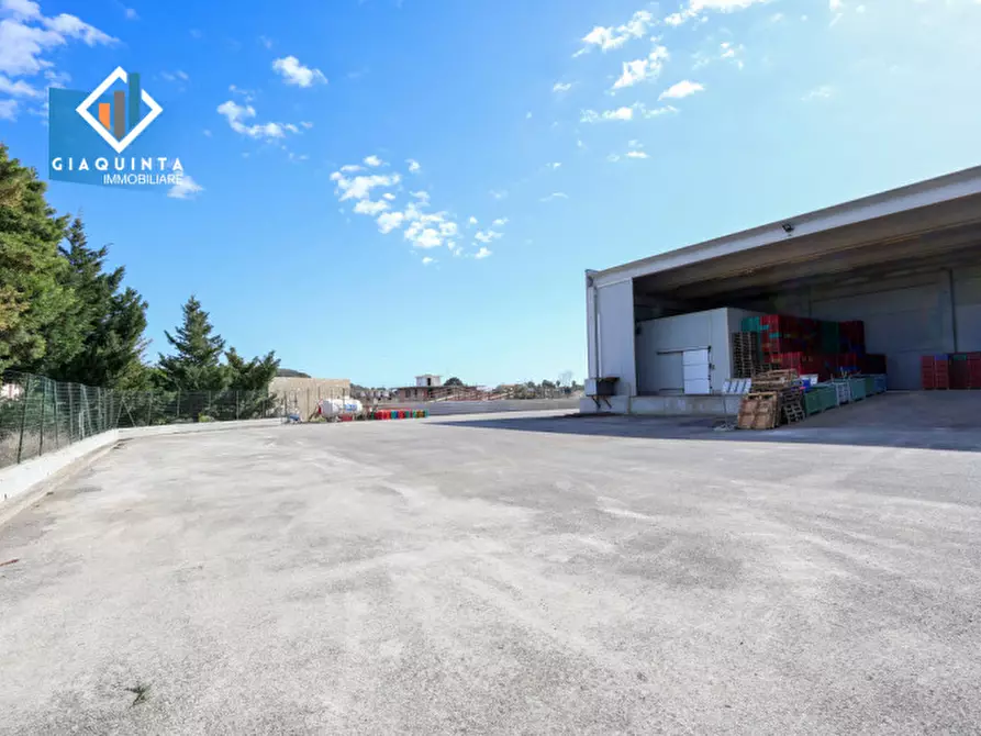 Immagine 4 di Capannone industriale in vendita  in strada provinciale 74 snc a Palagonia