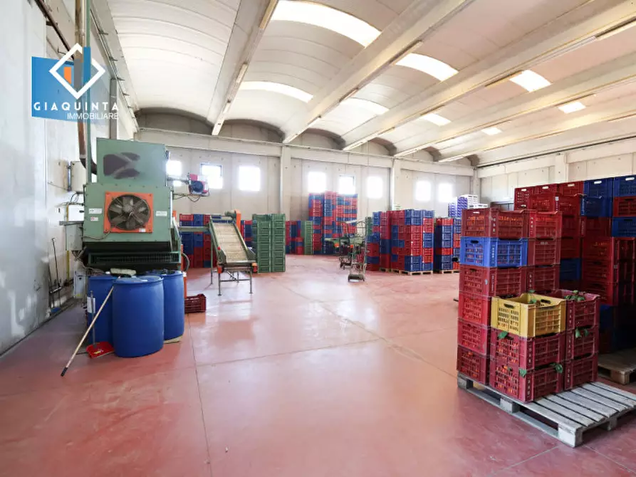 Immagine 15 di Capannone industriale in vendita  in strada provinciale 74 snc a Palagonia