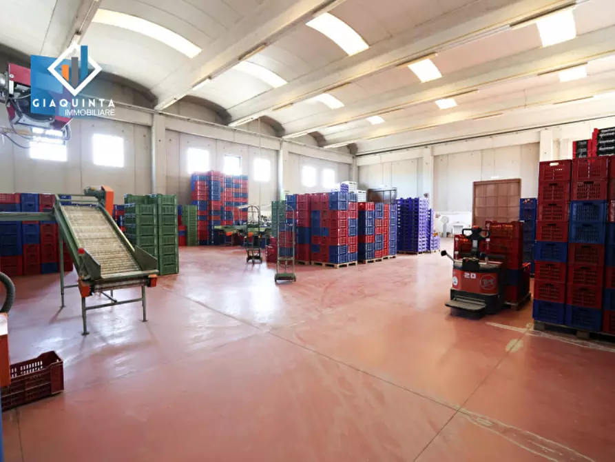 Immagine 16 di Capannone industriale in vendita  in strada provinciale 74 snc a Palagonia