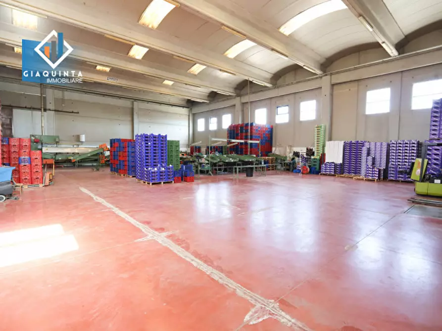 Immagine 18 di Capannone industriale in vendita  in strada provinciale 74 snc a Palagonia