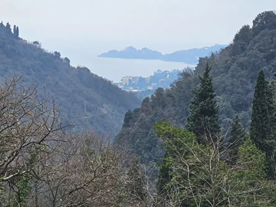 Immagine 4 di Appartamento in vendita  in VIA SAN MAURIZIO DEI MONTI 21 a Rapallo