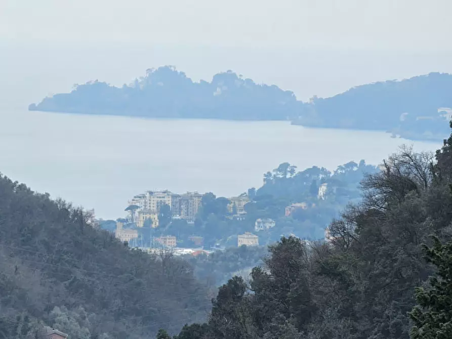 Immagine 5 di Appartamento in vendita  in VIA SAN MAURIZIO DEI MONTI 21 a Rapallo