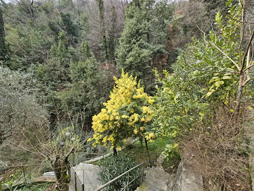 Immagine 25 di Appartamento in vendita  in VIA SAN MAURIZIO DEI MONTI 21 a Rapallo