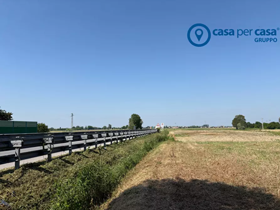 Immagine 10 di Rustico / casale in vendita  in Via Bassa Cornè II a Arqua' Polesine