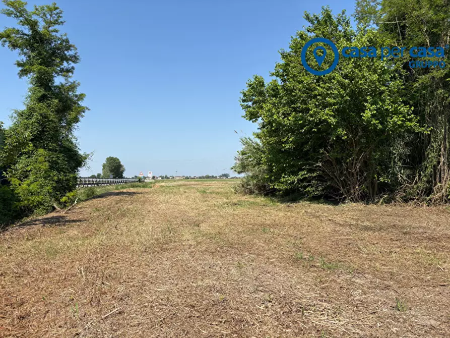 Immagine 11 di Rustico / casale in vendita  in Via Bassa Cornè II a Arqua' Polesine