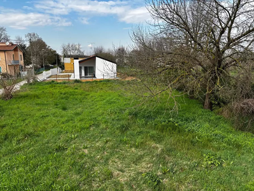 Immagine 3 di Casa indipendente in vendita  a San Martino Di Venezze