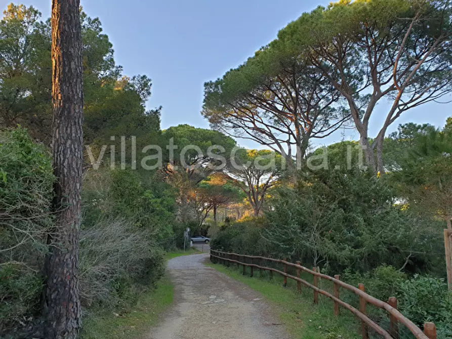 Immagine 1 di Villa in vendita  a Castiglione Della Pescaia