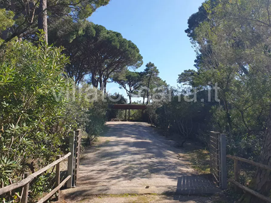 Immagine 2 di Villa in vendita  a Castiglione Della Pescaia