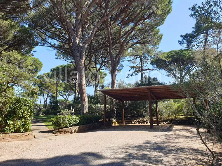 Immagine 3 di Villa in vendita  a Castiglione Della Pescaia