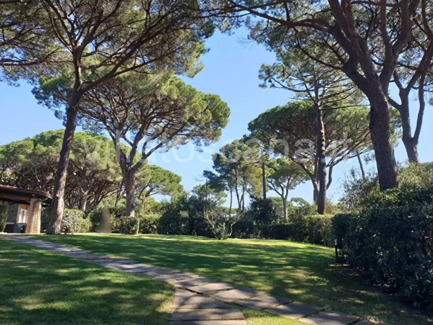 Immagine 6 di Villa in vendita  a Castiglione Della Pescaia